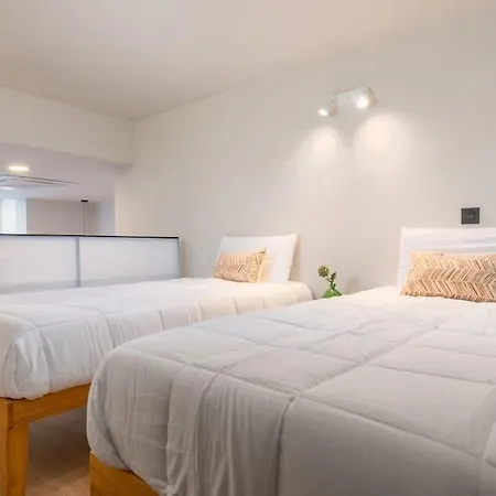 Beautiful Duplex In Front Of Vista Alegre Palace Madrid