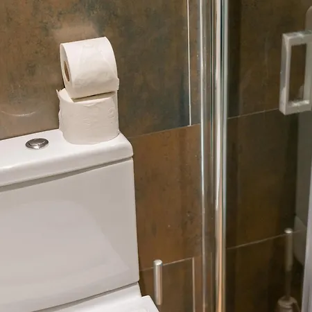 Hostel Charlotte-gran Via Madrid