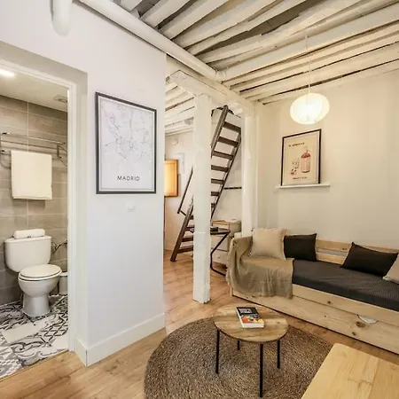 Apartment Charming Loft