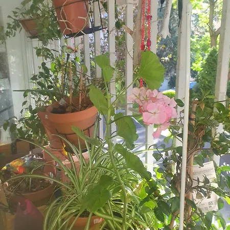Libros Y Plantas A 5 Minutos Del Centro En Bus Lejlighed Madrid