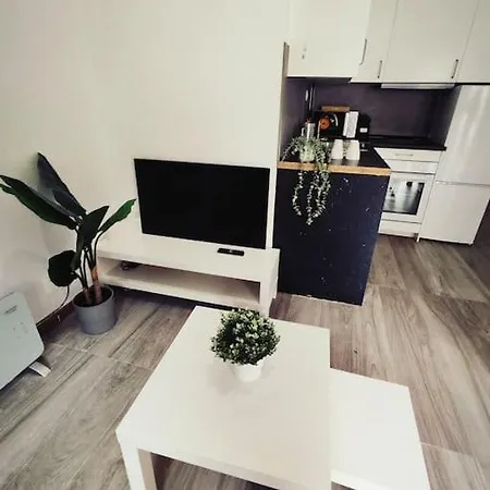 Centro Aeropuerto Apartment Madrid