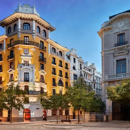 Avani Alonso Martinez Madrid