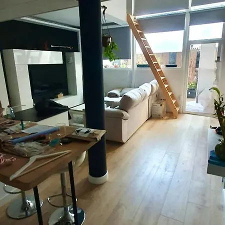 Oasis Mezquite