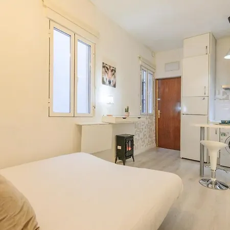 Temporal 1 Bedroom Flat A Few Metres From The Centre Ama2721