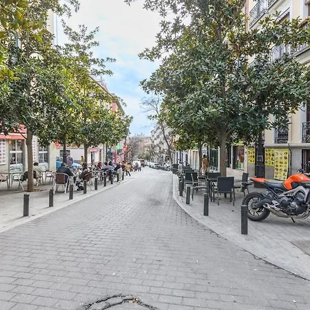 Temporal 1 Bedroom Flat A Few Metres From The Centre Ama2721 Apartment Madrid