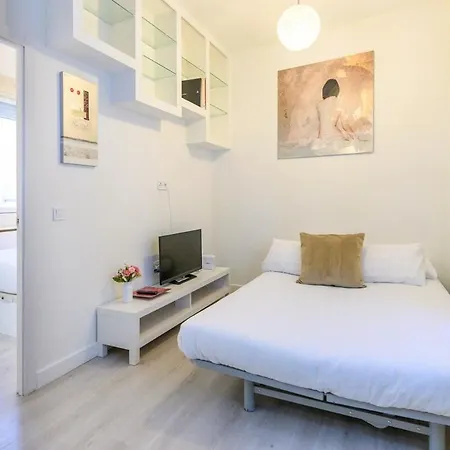 Temporal 1 Bedroom Flat A Few Metres From The Centre Ama2721 Madrid