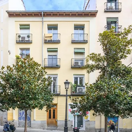 Temporal 1 Bedroom Flat A Few Metres From The Centre Ama2721 Apartment Madrid