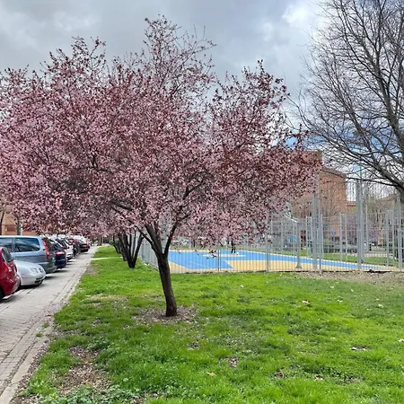 Cuatro A 15 Minutos Del Centro De Apartment *