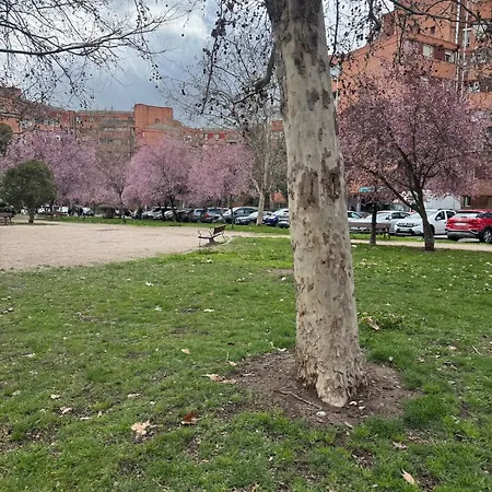 Cuatro A 15 Minutos Del Centro De Madrid