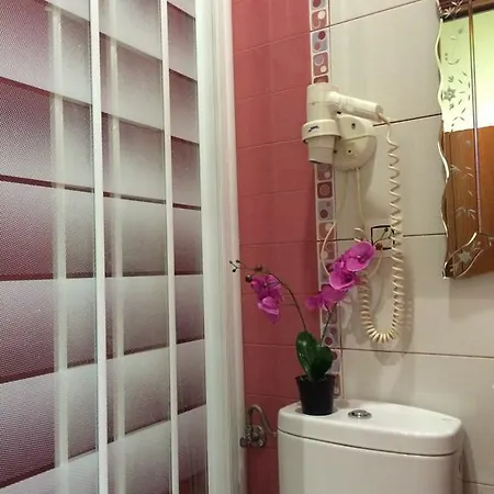 Aliste Guest house 2*