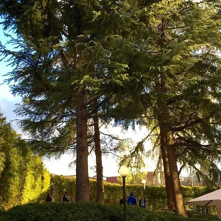 Hotel Jardin Real De Mirasierra