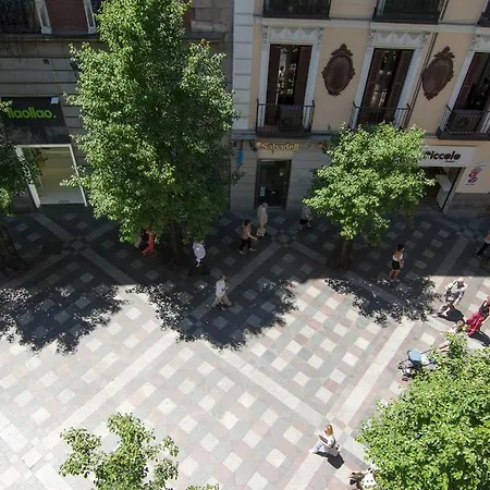 Hotel Petit Palace Arenal Madri