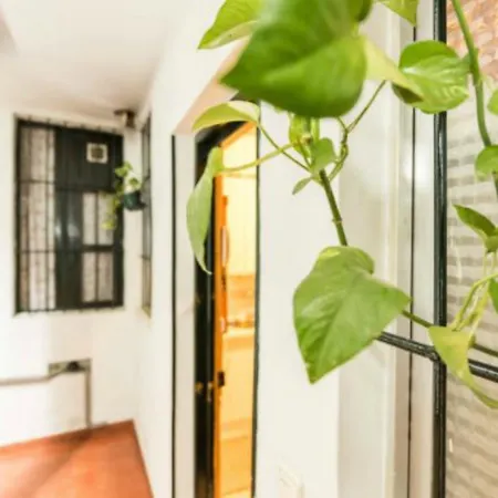 La Corrala De Salitre Appartement