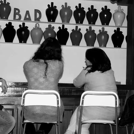Cats Chill Out Madrid
