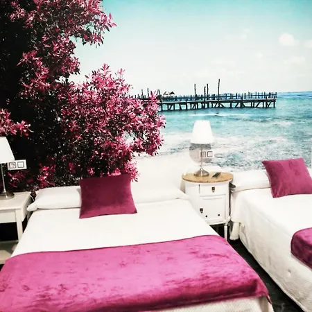 Bruna Paseo Del Prado Guest house 2*
