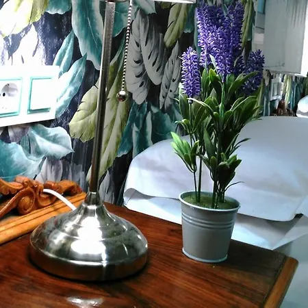 Guest house Bruna Paseo Del Prado 2*