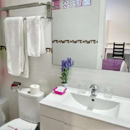 Guest house Bruna Paseo Del Prado Madrid
