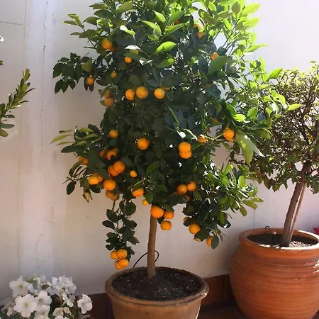 Atico Latina Appartement *