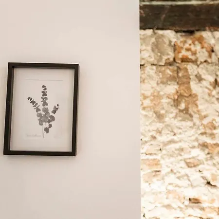 Intimate And Artistic Flat Wifi Puerta Del Sol Apartment Madrid